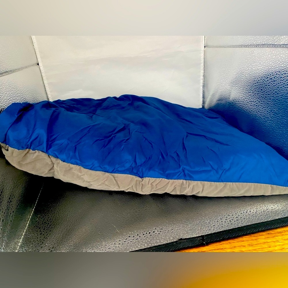 “Dreamy Pillow” Eastern Mountain Sports